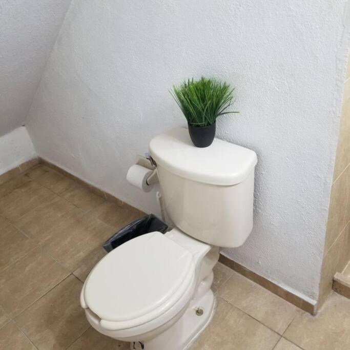 Departamento 2 Camas Matrimoniales K, Wifi, Aire Acondicionado, Estacionamiento Cruzando Calle 巴耶斯城 外观 照片
